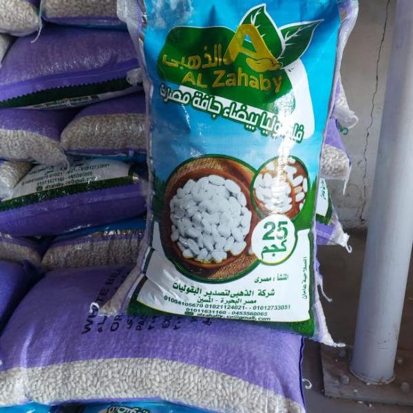 White beans for Export
